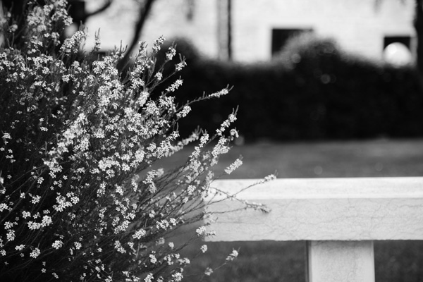mini-portfolio-image