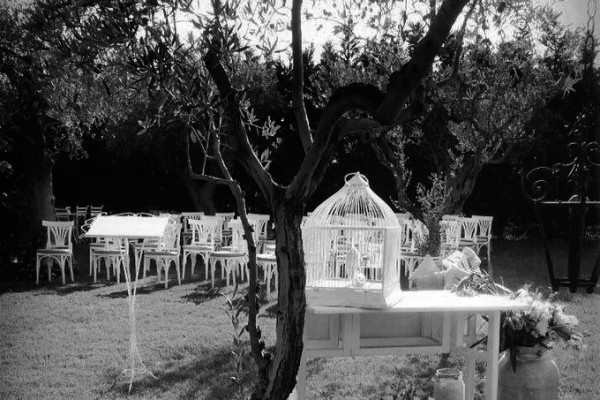 mini-portfolio-image